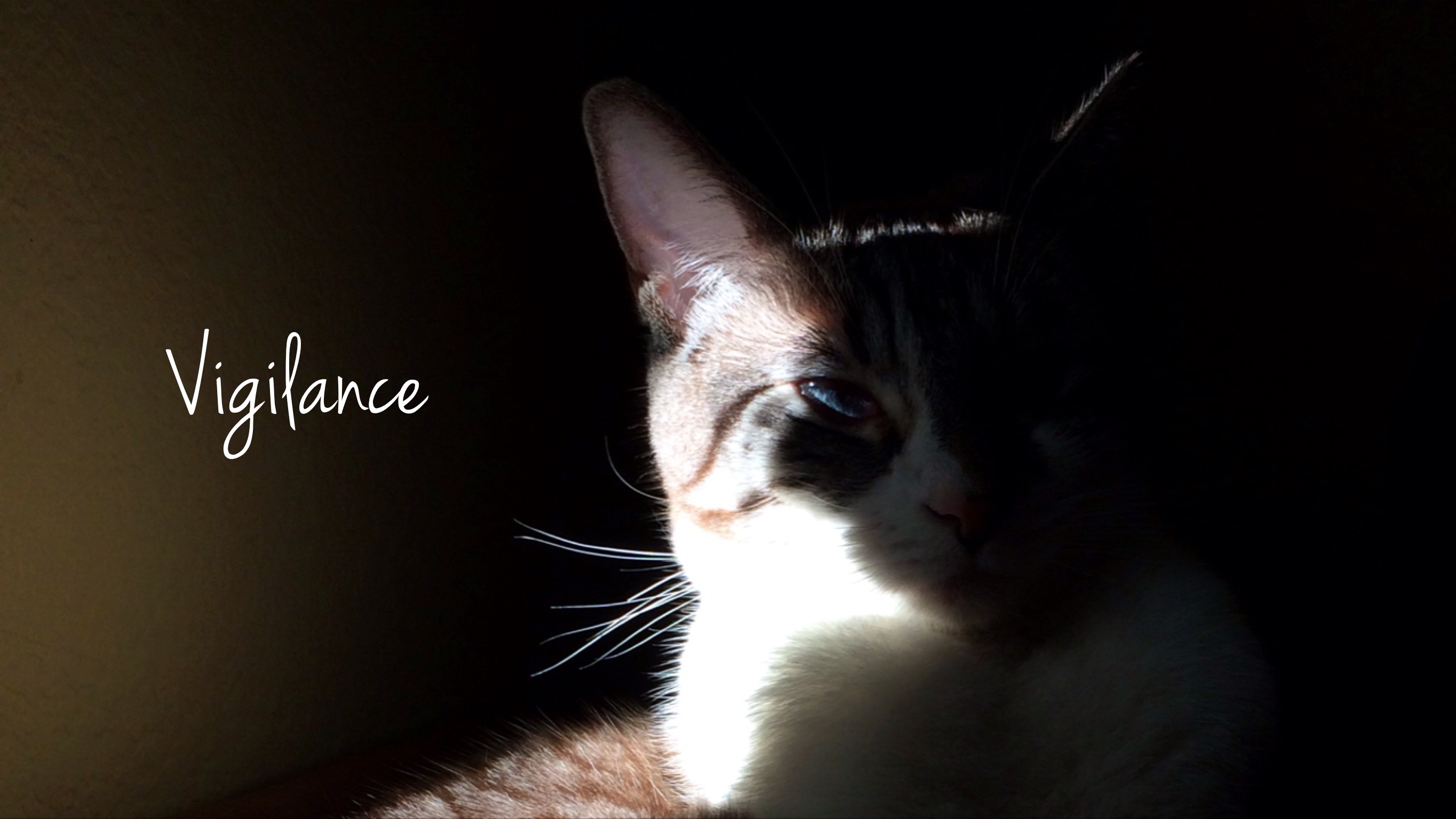 Vigilance